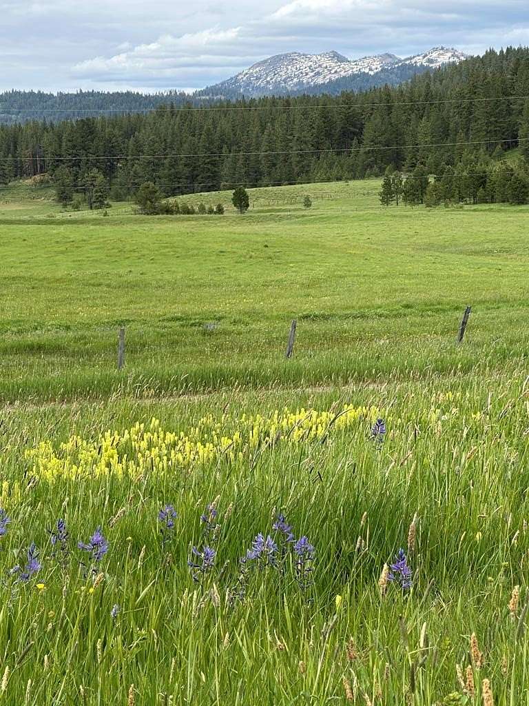 33.8 Acres of Agricultural Land for Sale in Donnelly, Idaho