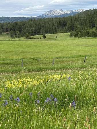 33.8 Acres of Agricultural Land for Sale in Donnelly, Idaho