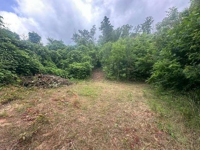 21.5 Acres of Recreational Land for Sale in Sylva, North Carolina