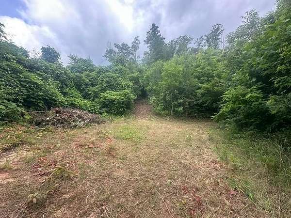 21.5 Acres of Recreational & Residential Land for Sale in Sylva, North Carolina