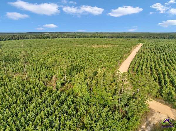 9.6 Acres of Residential Land for Sale in Reynolds, Georgia