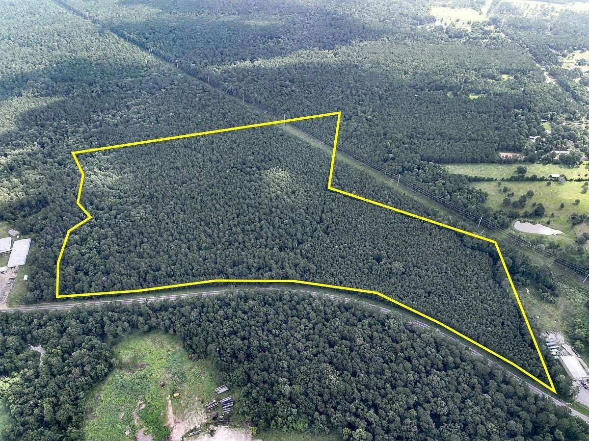 81 Acres of Recreational Land for Sale in New Waverly, Texas