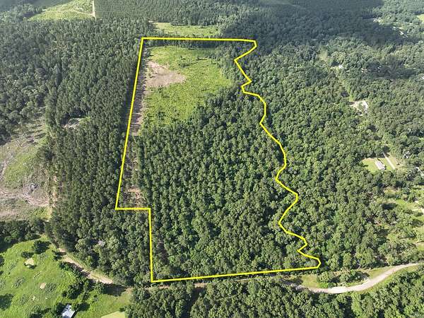 58.8 Acres of Recreational Land for Sale in Corrigan, Texas