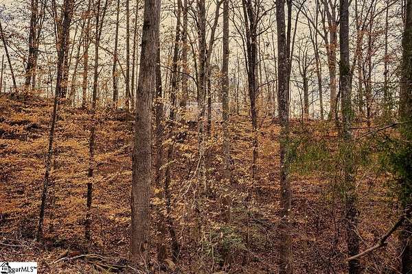 0.46 Acres of Residential Land for Sale in Abbeville, South Carolina