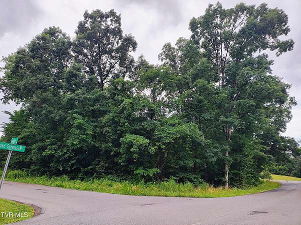 0.4 Acres of Residential Land for Sale in Kingsport, Tennessee