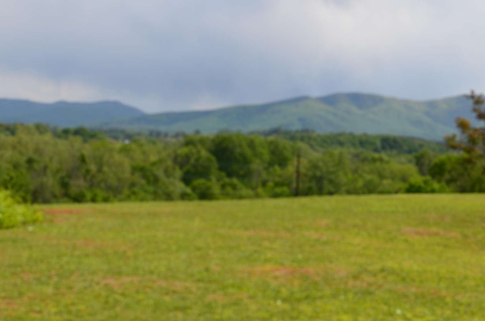 Residential Land for Sale in Greeneville, Tennessee