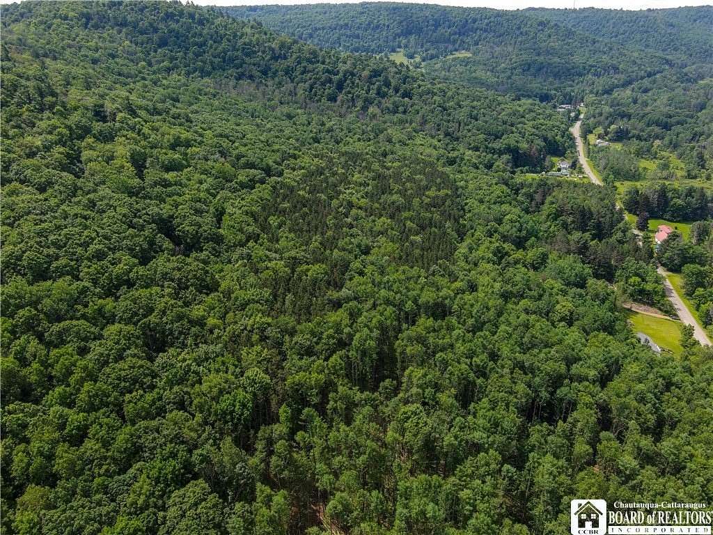 44.6 Acres of Recreational Land for Sale in Allegany, New York