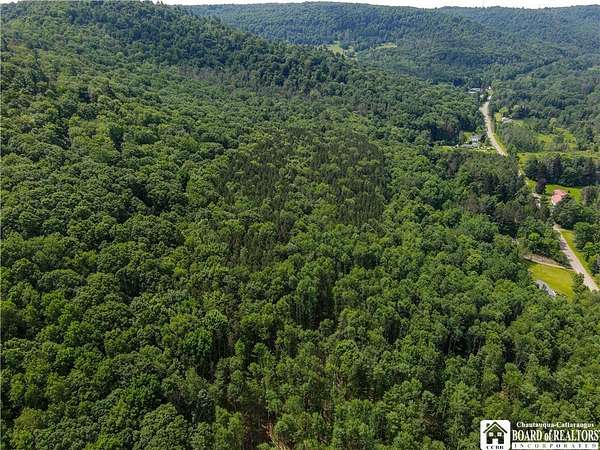 44.6 Acres of Recreational Land for Sale in Allegany, New York