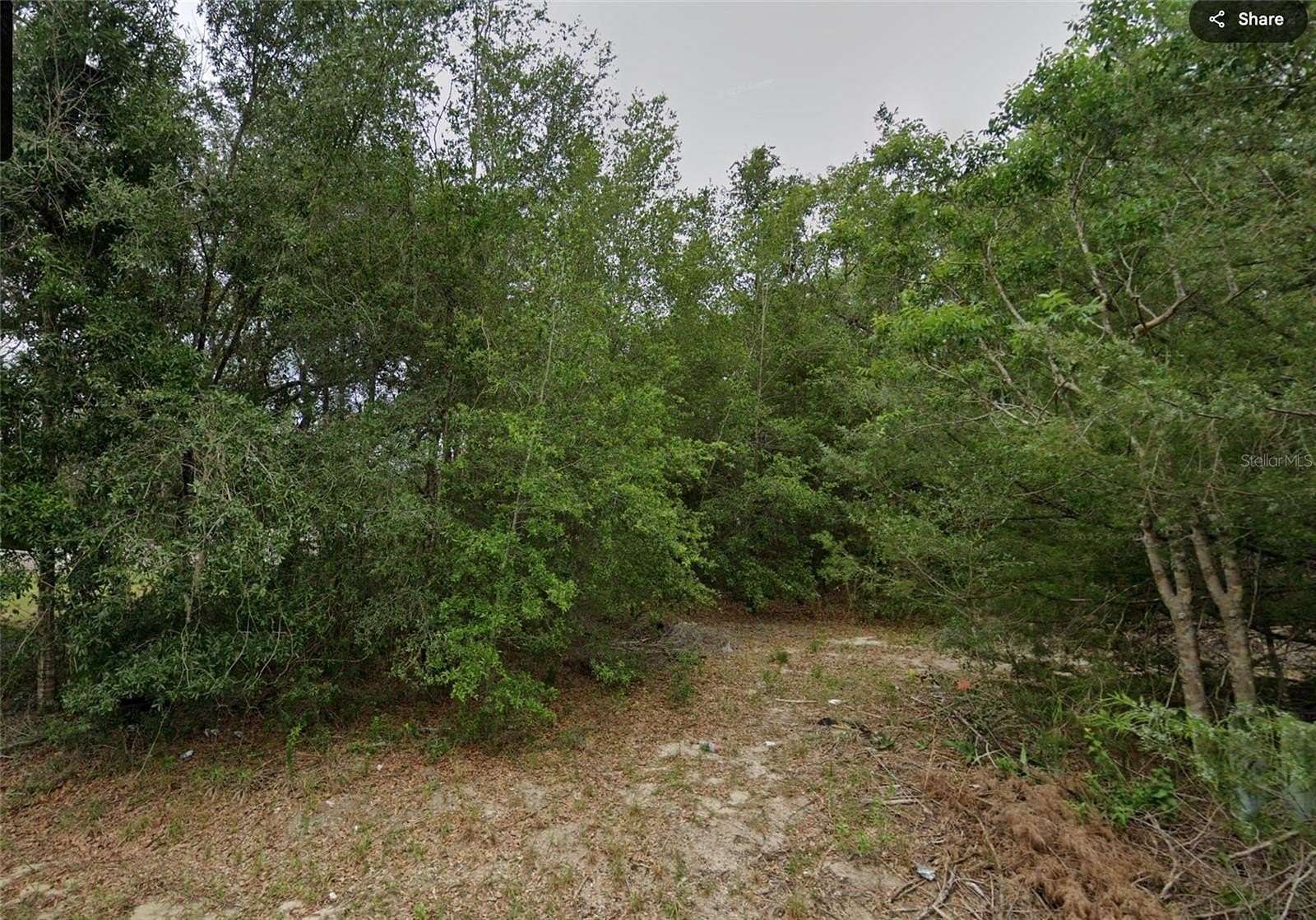 0.22 Acres of Residential Land for Sale in Summerfield, Florida