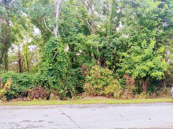 0.2 Acres of Residential Land for Sale in Bluff City, Tennessee