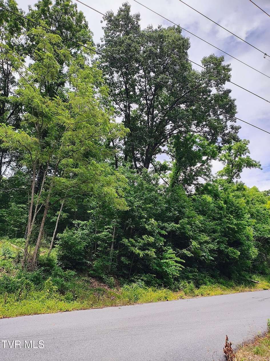 0.38 Acres of Residential Land for Sale in Kingsport, Tennessee