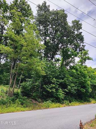 0.38 Acres of Residential Land for Sale in Kingsport, Tennessee