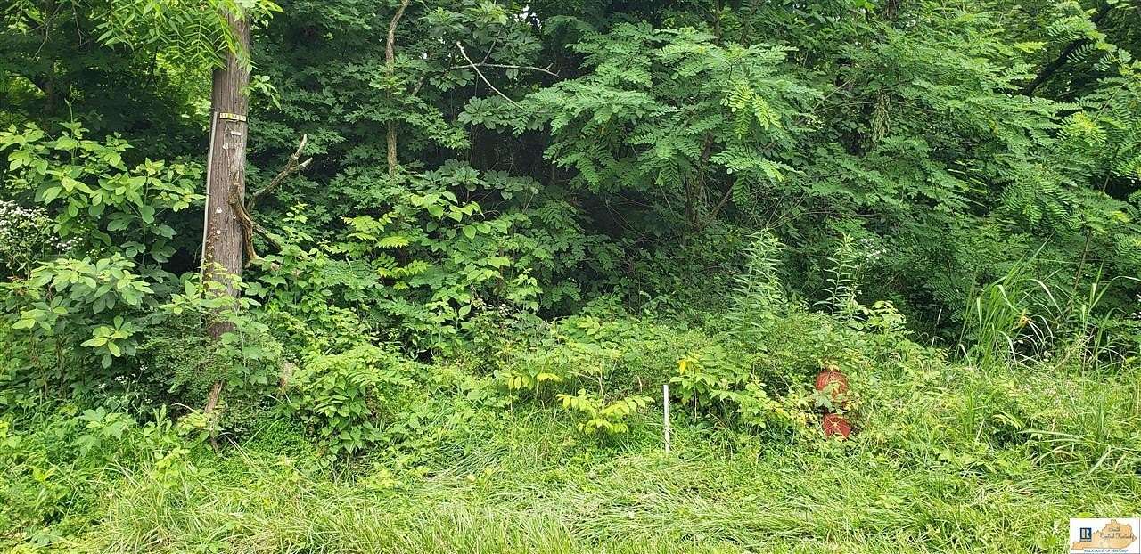 0.24 Acres of Residential Land for Sale in Bonnieville, Kentucky