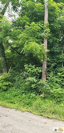 0.24 Acres of Residential Land for Sale in Bonnieville, Kentucky