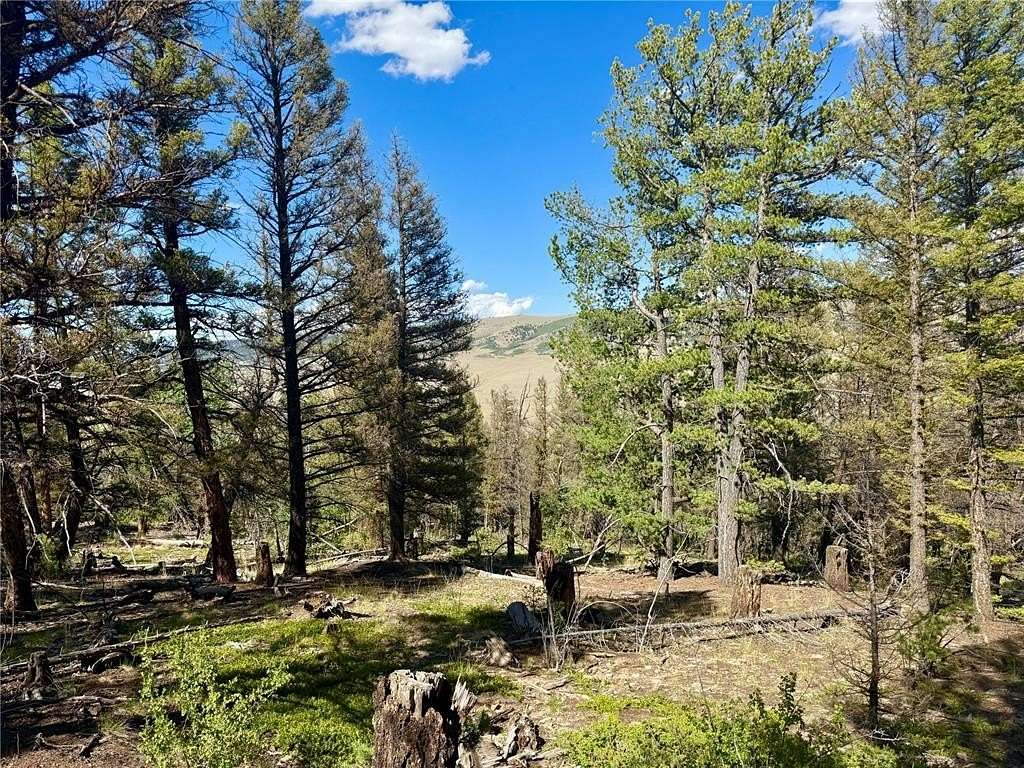 2 Acres of Residential Land for Sale in Fairplay, Colorado