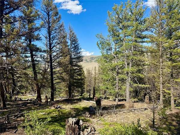 2 Acres of Residential Land for Sale in Fairplay, Colorado