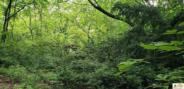 4.5 Acres of Residential Land for Sale in Bonnieville, Kentucky