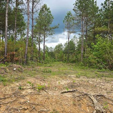 3.75 Acres of Land for Sale in Robbins, Tennessee