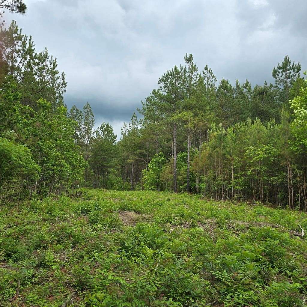 3.74 Acres of Land for Sale in Robbins, Tennessee