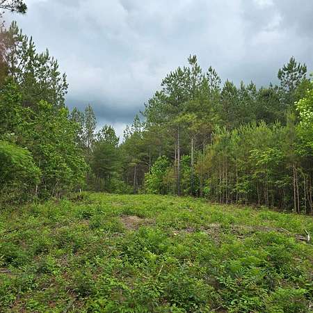 3.74 Acres of Land for Sale in Robbins, Tennessee