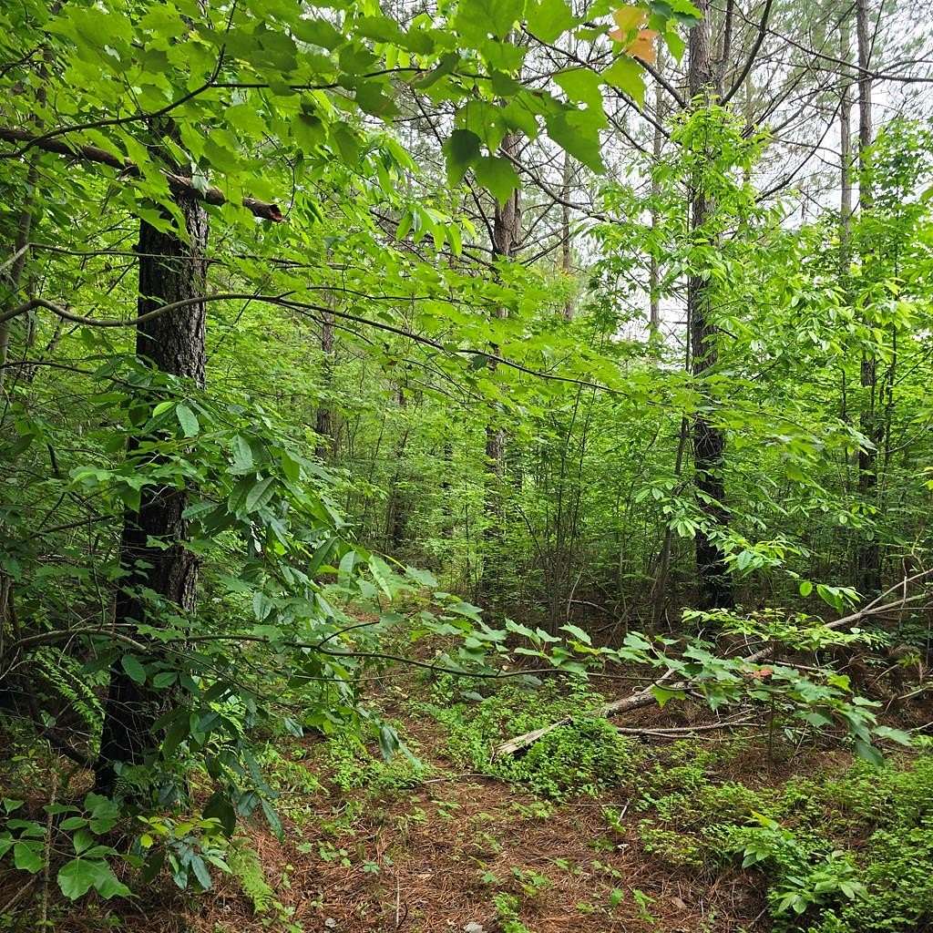 5.32 Acres of Recreational Land for Sale in Robbins, Tennessee