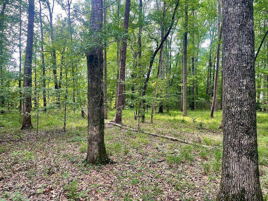 0.7 Acres of Residential Land for Sale in Grenada, Mississippi