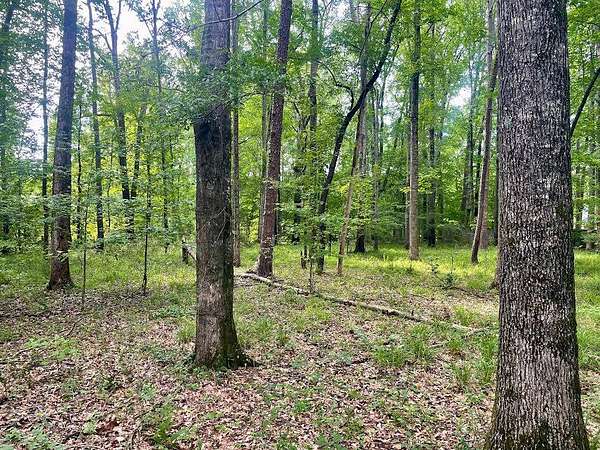 0.7 Acres of Residential Land for Sale in Grenada, Mississippi