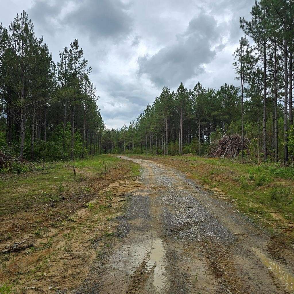 14.7 Acres of Recreational Land for Sale in Robbins, Tennessee