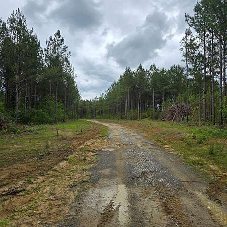 14.7 Acres of Recreational Land for Sale in Robbins, Tennessee