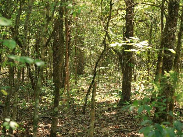 0.49 Acres of Residential Land for Sale in Horseshoe Bend, Arkansas