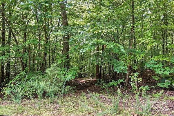 10 Acres of Residential Land for Sale in Iron Station, North Carolina