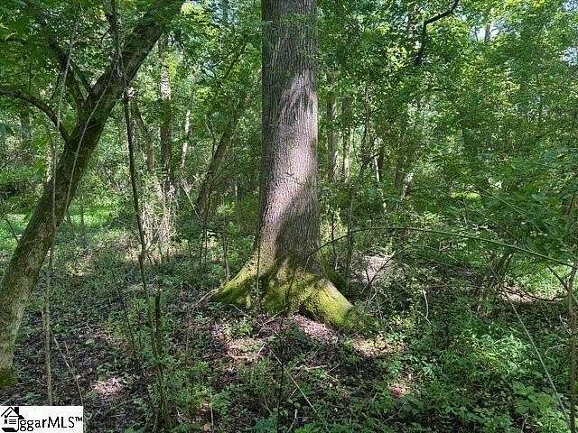 2 Acres of Residential Land for Sale in Duncan, South Carolina