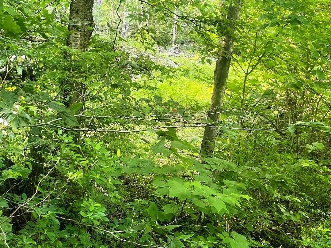 17.4 Acres of Land for Sale in Putnam Valley, New York