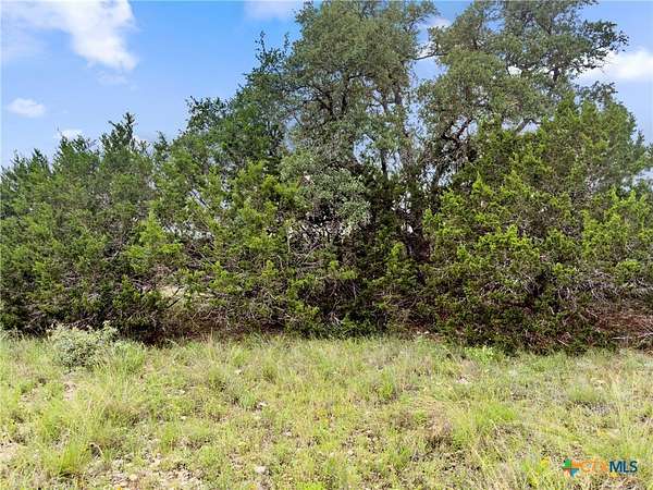 3 Acres of Residential Land for Sale in Spring Branch, Texas