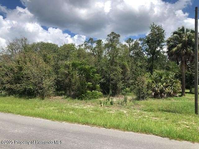0.2 Acres of Residential Land for Sale in Spring Hill, Florida