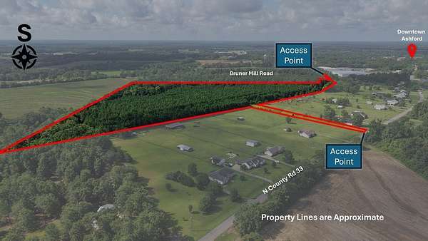 31.8 Acres of Recreational Land for Sale in Ashford, Alabama