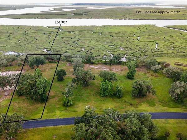 1 Acre of Residential Land for Sale in Townsend, Georgia