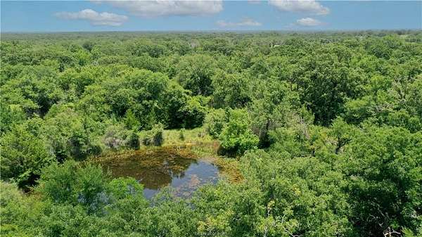 17.8 Acres of Recreational Land for Sale in Navasota, Texas