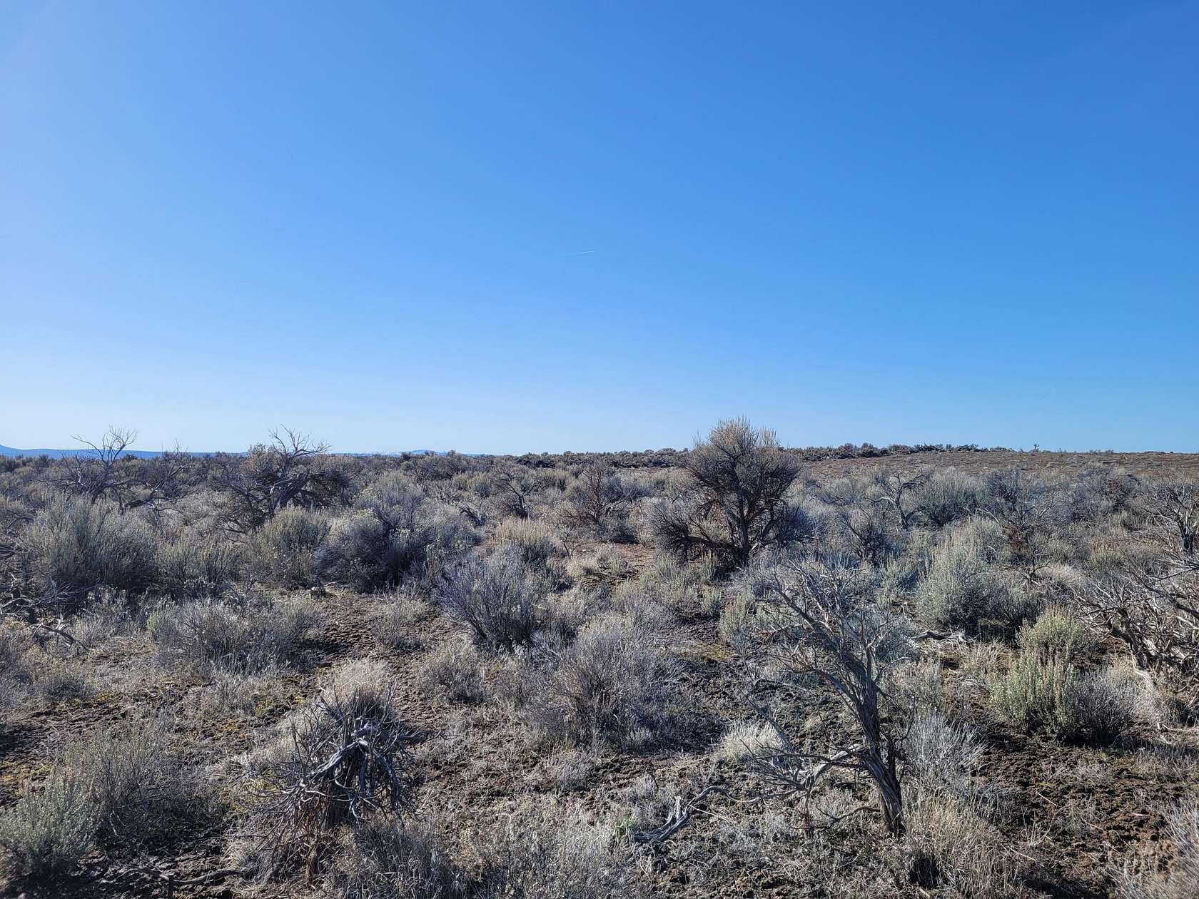20 Acres of Land for Sale in Christmas Valley, Oregon