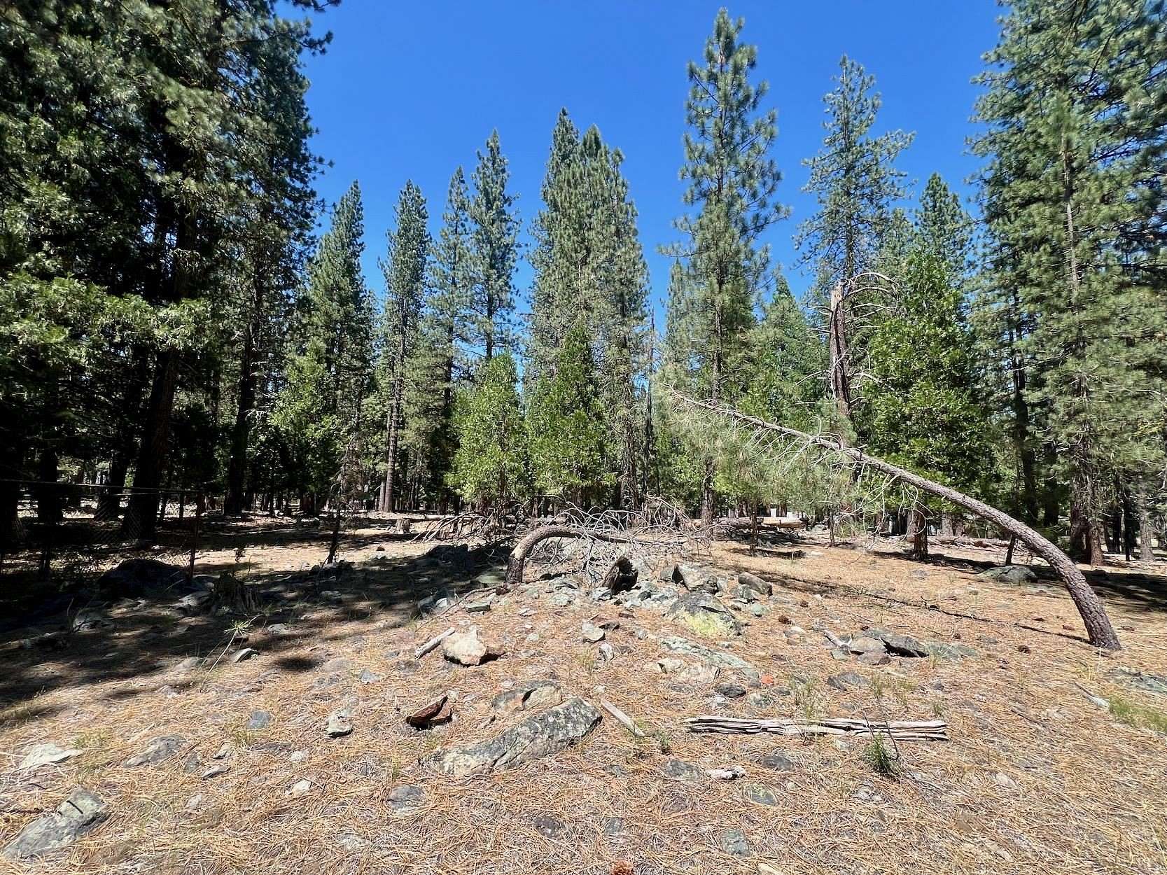 0.32 Acres of Residential Land for Sale in Graeagle, California