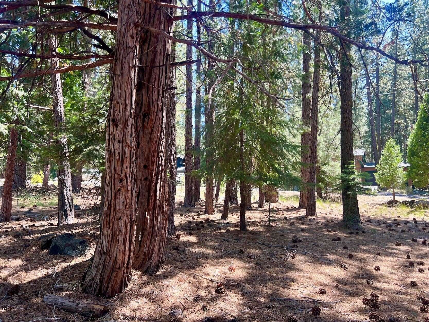 0.32 Acres of Residential Land for Sale in Graeagle, California