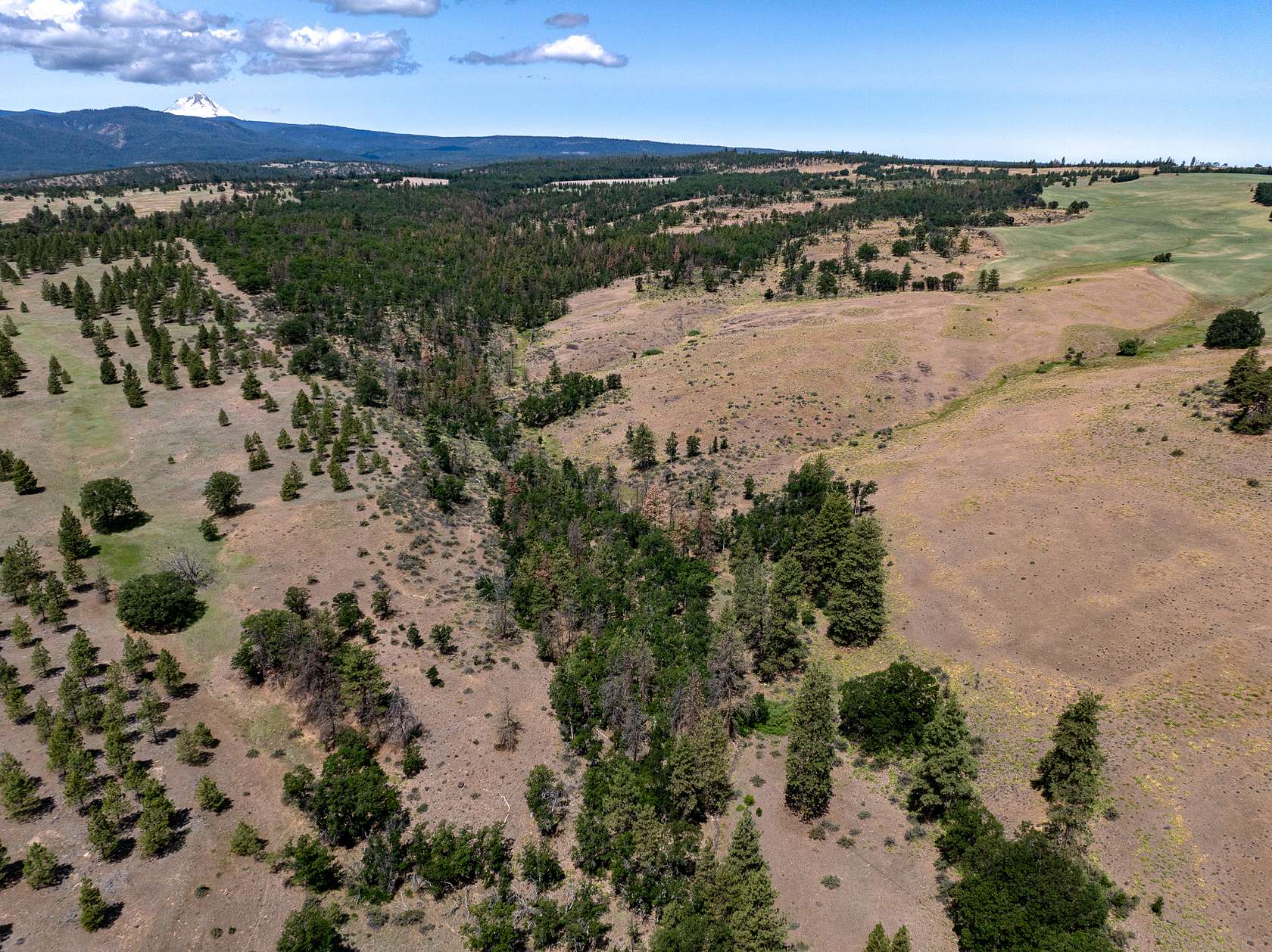 687 Acres of Recreational Land & Farm for Sale in Dufur, Oregon