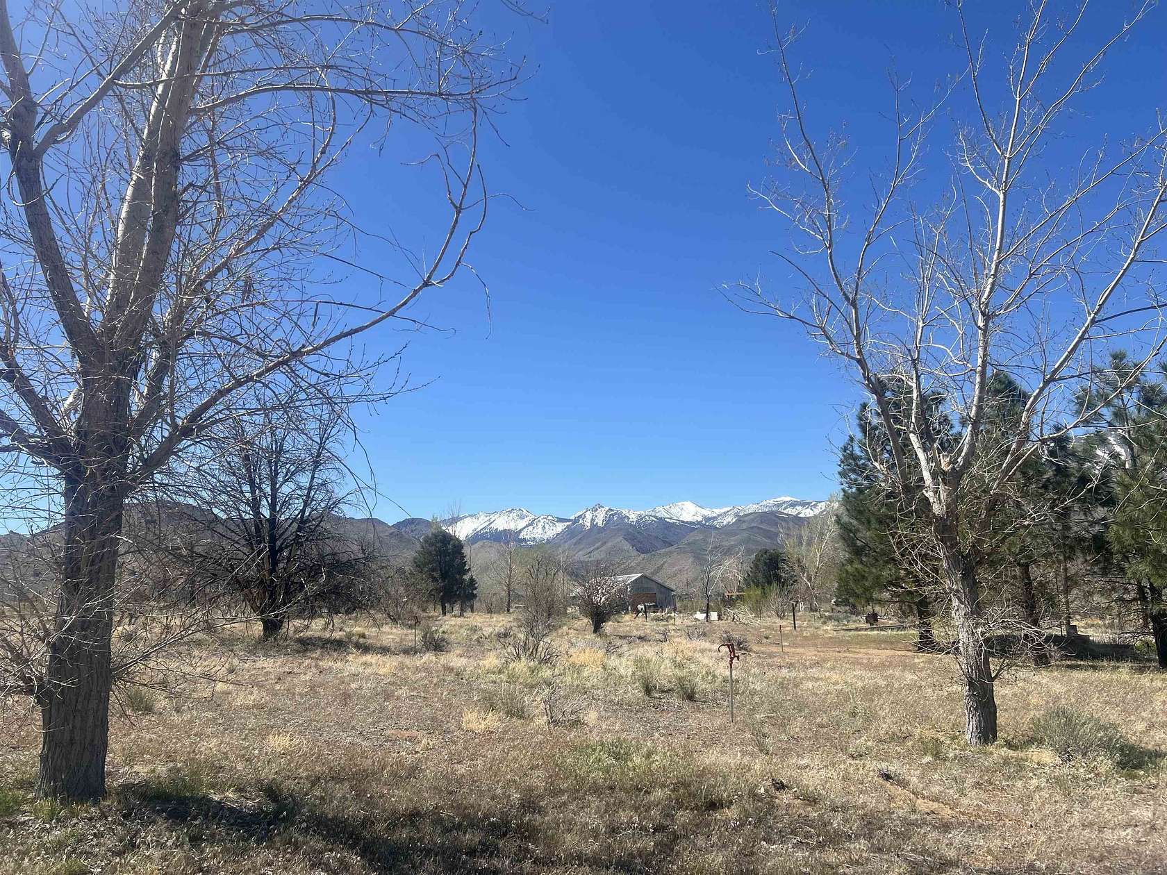 10.4 Acres of Recreational Land for Sale in Coleville, California