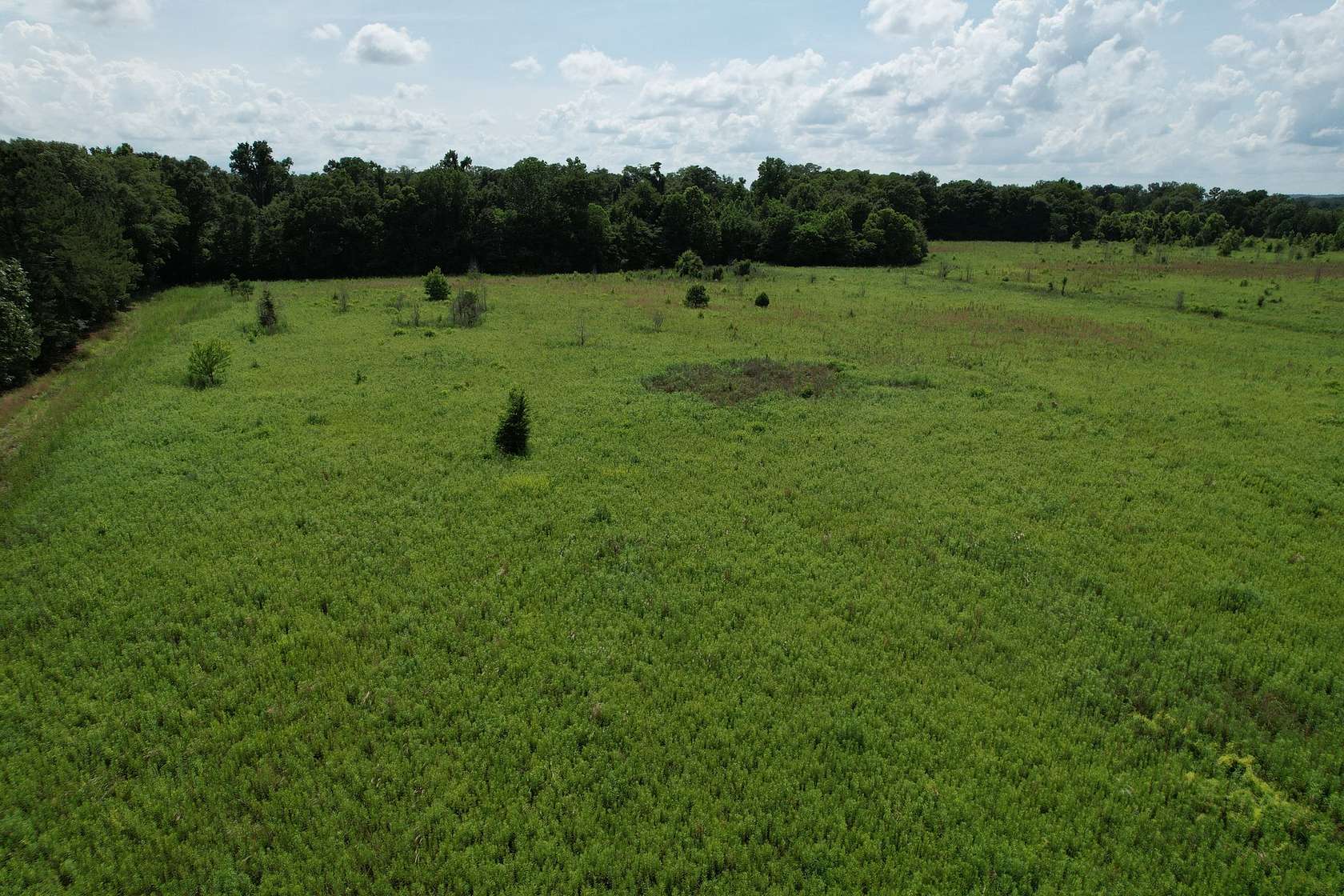 35 Acres of Land for Sale in Shorter, Alabama