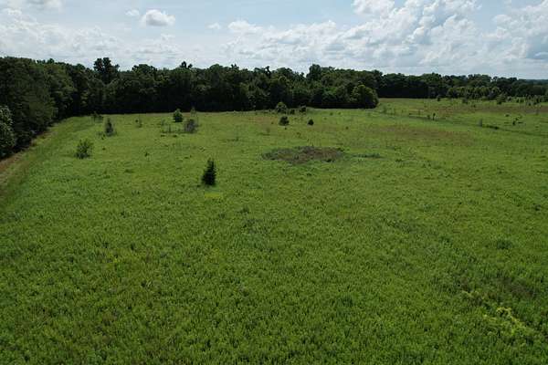 35 Acres of Land for Sale in Shorter, Alabama