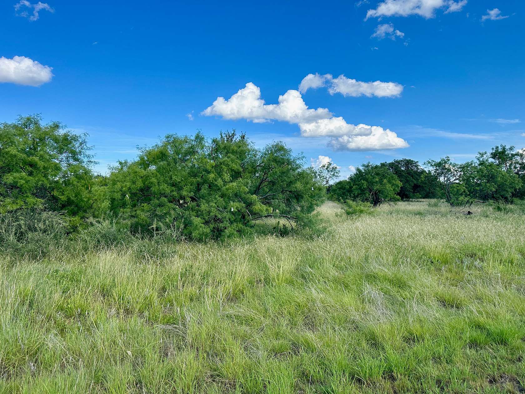 0.18 Acres of Residential Land for Sale in Brownwood, Texas