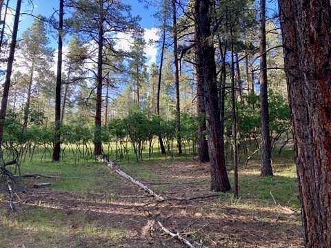 0.97 Acres of Residential Land for Sale in Tierra Amarilla, New Mexico