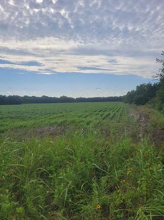 70 Acres of Recreational Land & Farm for Sale in Deport, Texas