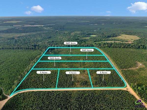 9.6 Acres of Residential Land for Sale in Reynolds, Georgia