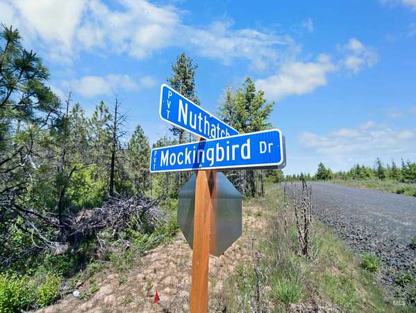 20.8 Acres of Recreational Land for Sale in Weippe, Idaho